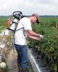 Portable SEC sampling